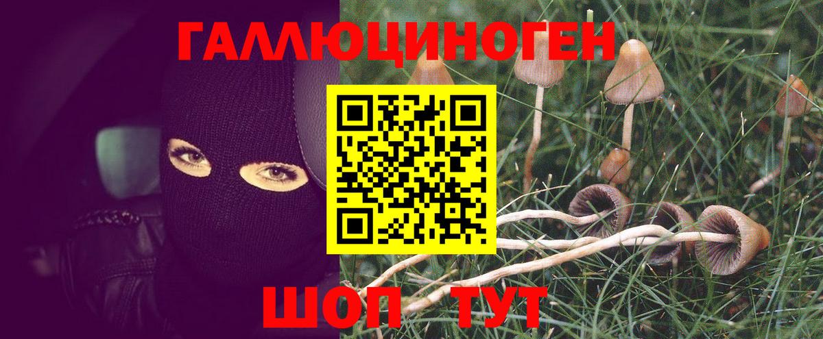 Галлюциногенные грибы MAGIC MUSHROOMS Ярцево