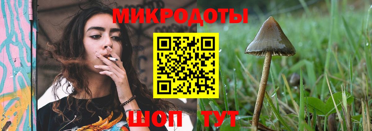 Галлюциногенные грибы Psilocybe  Вход с VPN  Ярцево 